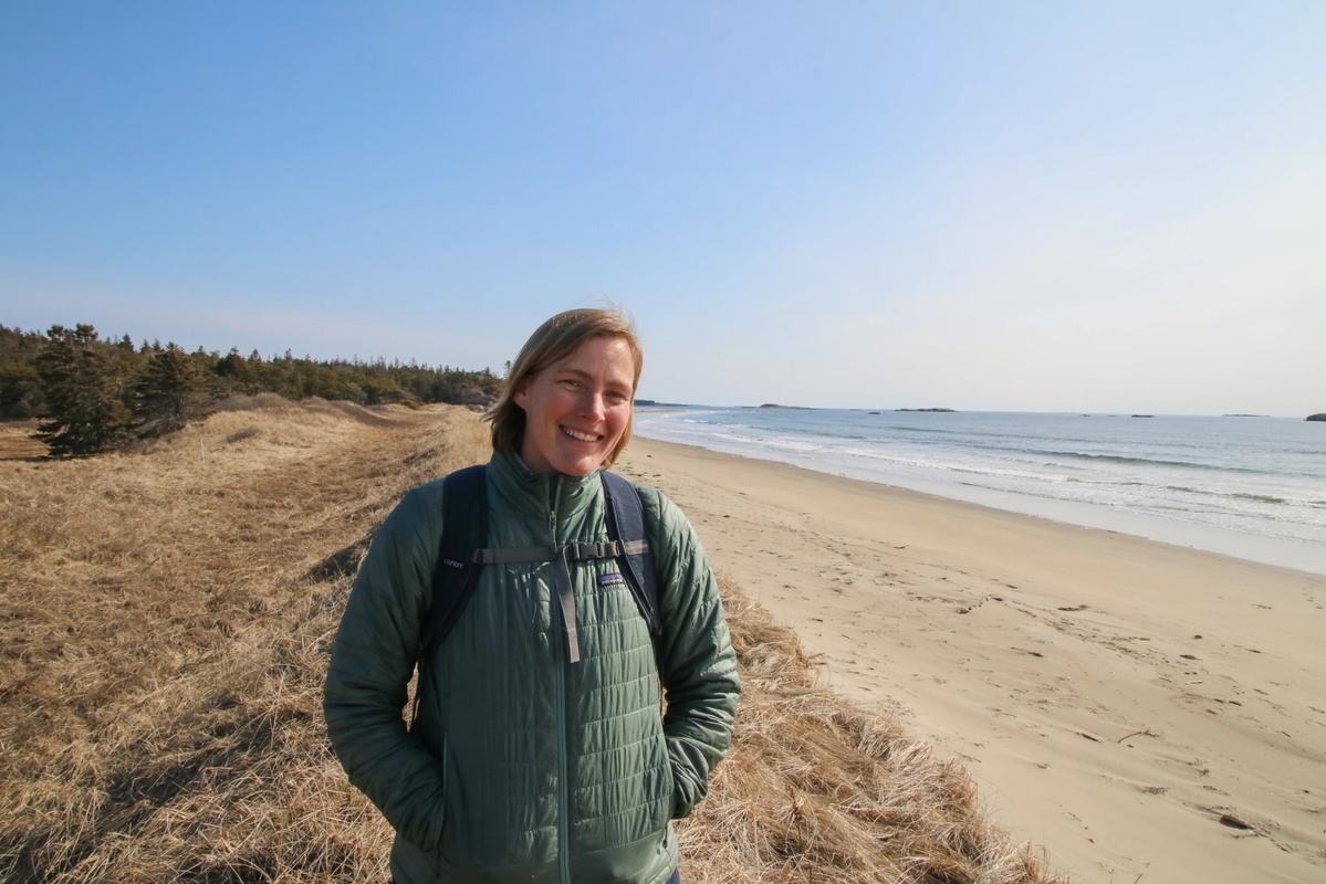 Maine beaches that have escaped development can help us understand rising seas - Vimarsana News