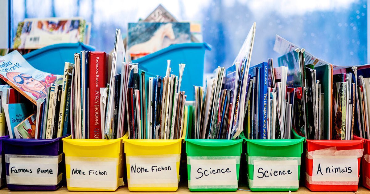 Maine homeschooling numbers remain high following COVID spike - Vimarsana News