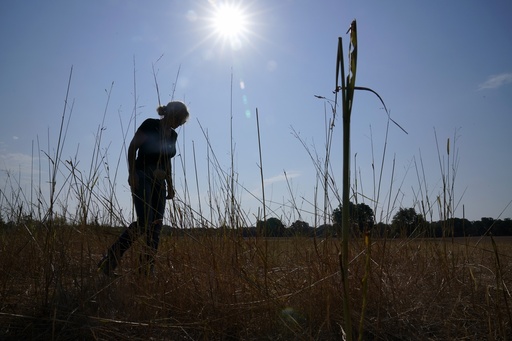 Climate change may force more farmers and ranchers to consider irrigation -- at a steep cost - Vimarsana News