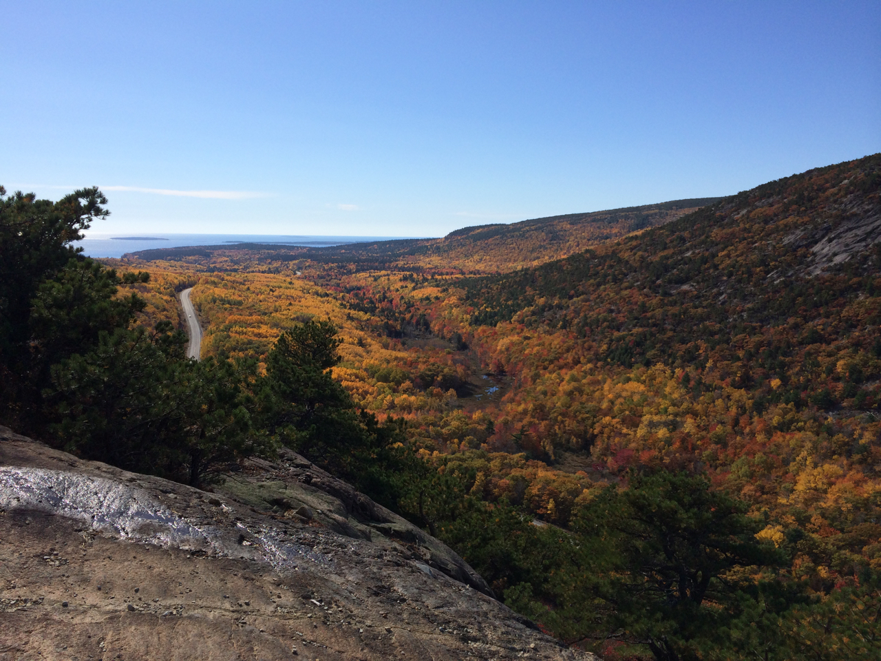 Climate change has shifted peak foliage season at Acadia National Park