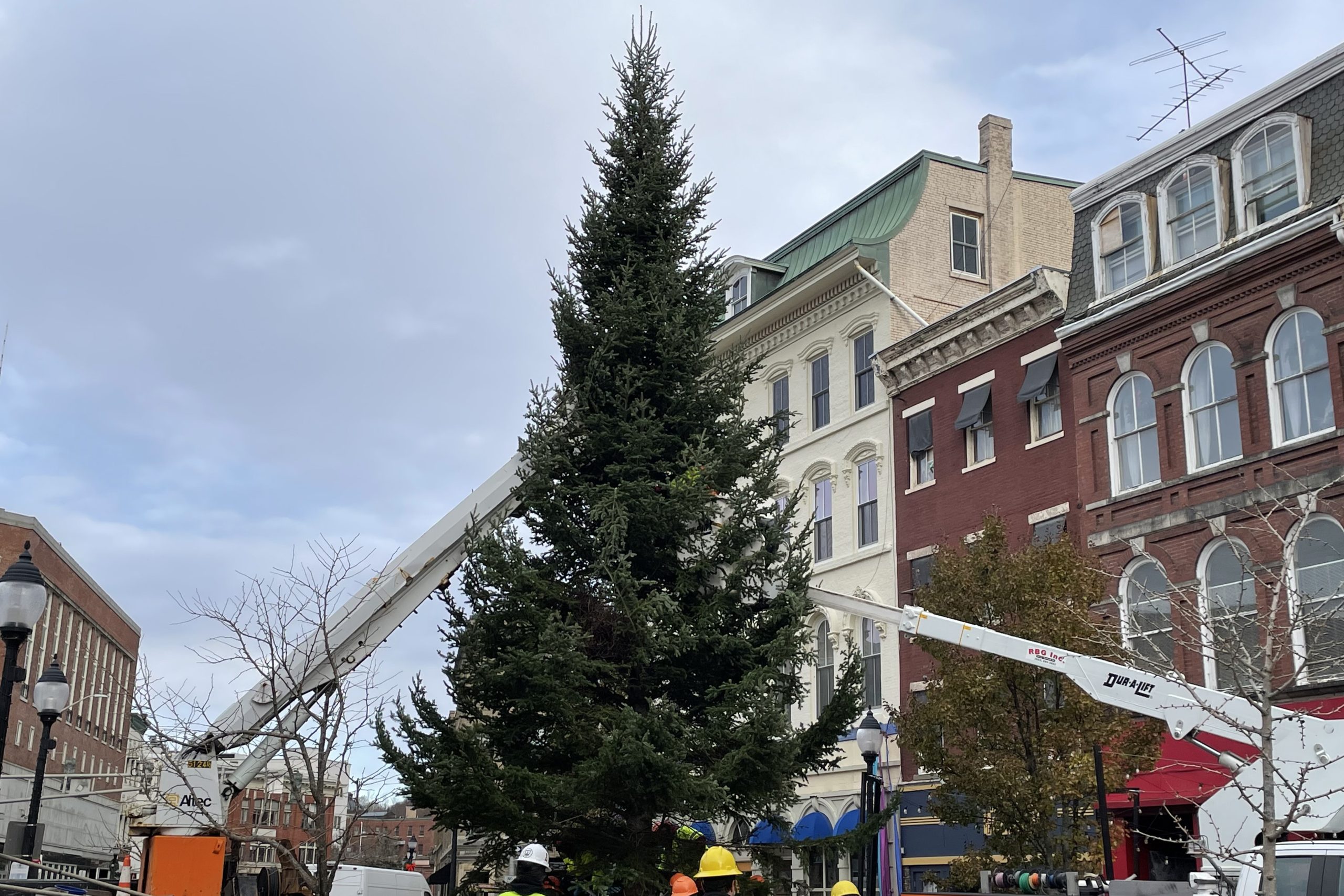 Bangor’s holiday tree arrives downtown