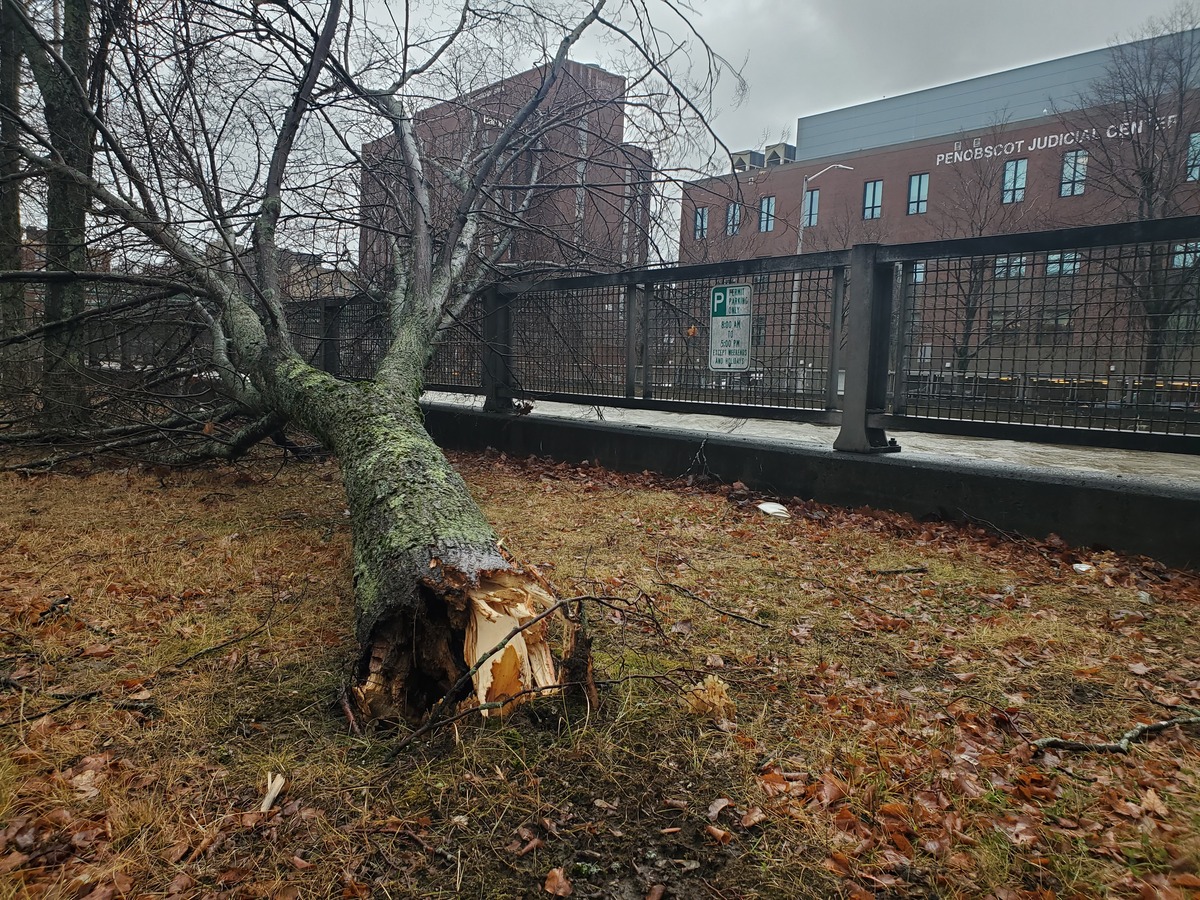 Here are the stores and restaurants open in Bangor today