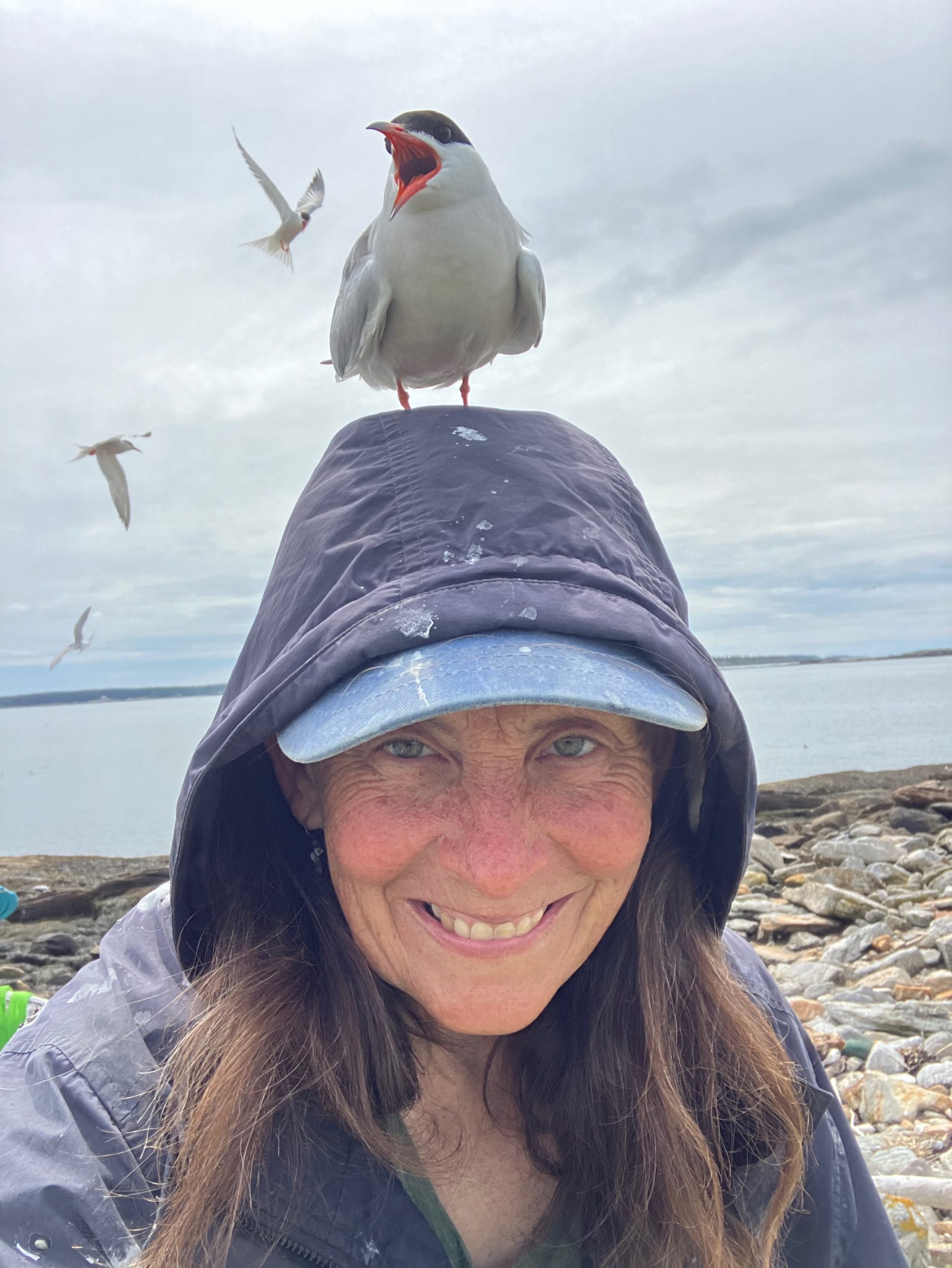 PEOPLENATUREART WITH ENVIRONMENTAL DECOY ARTIST SUE SCHUBEL Bangor
