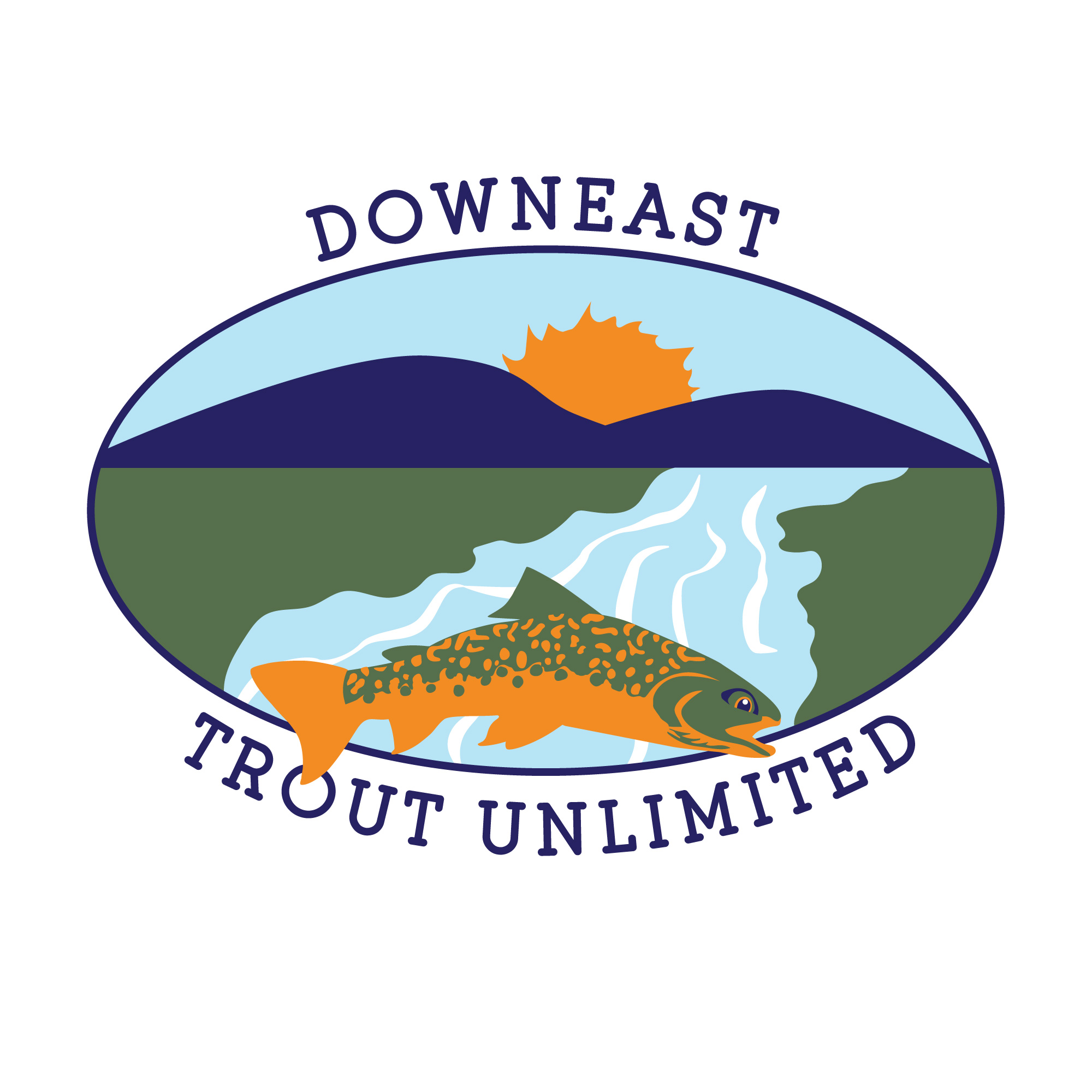Water Quality in Streams Impaired by Acid Rain Downeast Trout