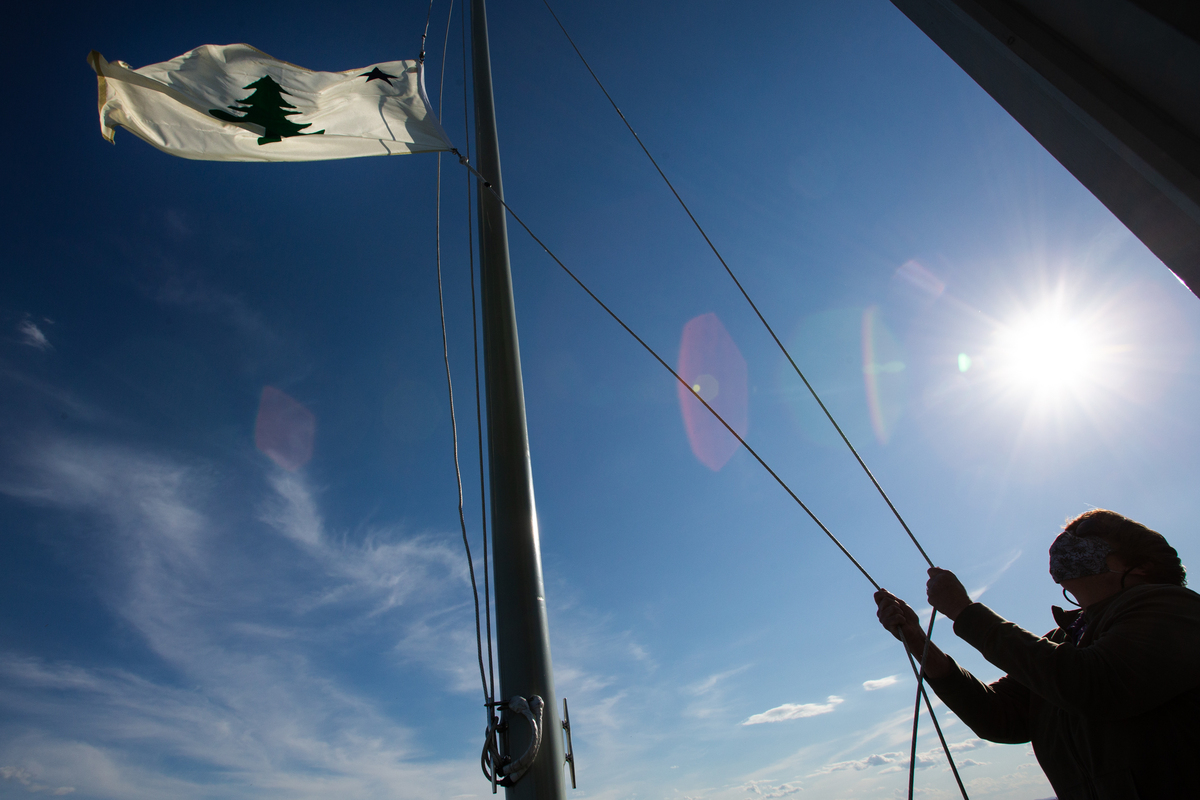 The state flag debate that just won't end - Vimarsana News