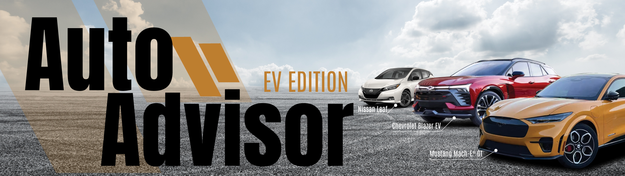Auto Advisor - EV and Hybrid Vehicles 2024 - Vimarsana News