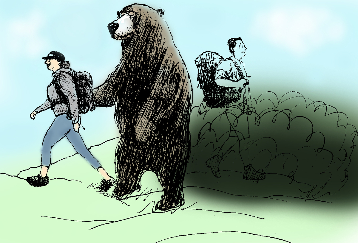 Why women are choosing the bear - Vimarsana News