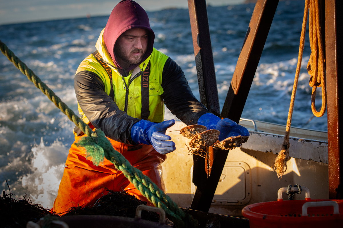 Donations to support Bangor Daily News journalism now taxdeductible