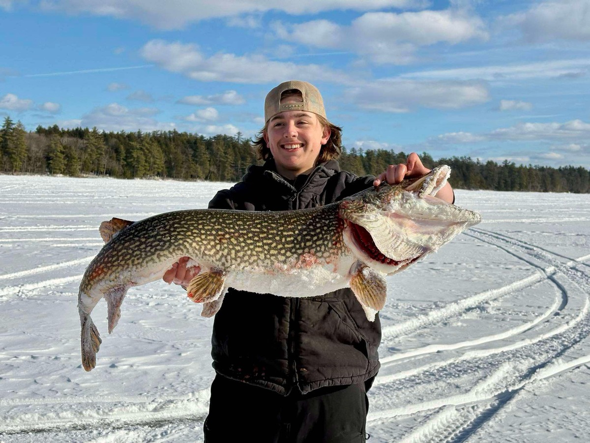 6a473887-4927-4832-a536-