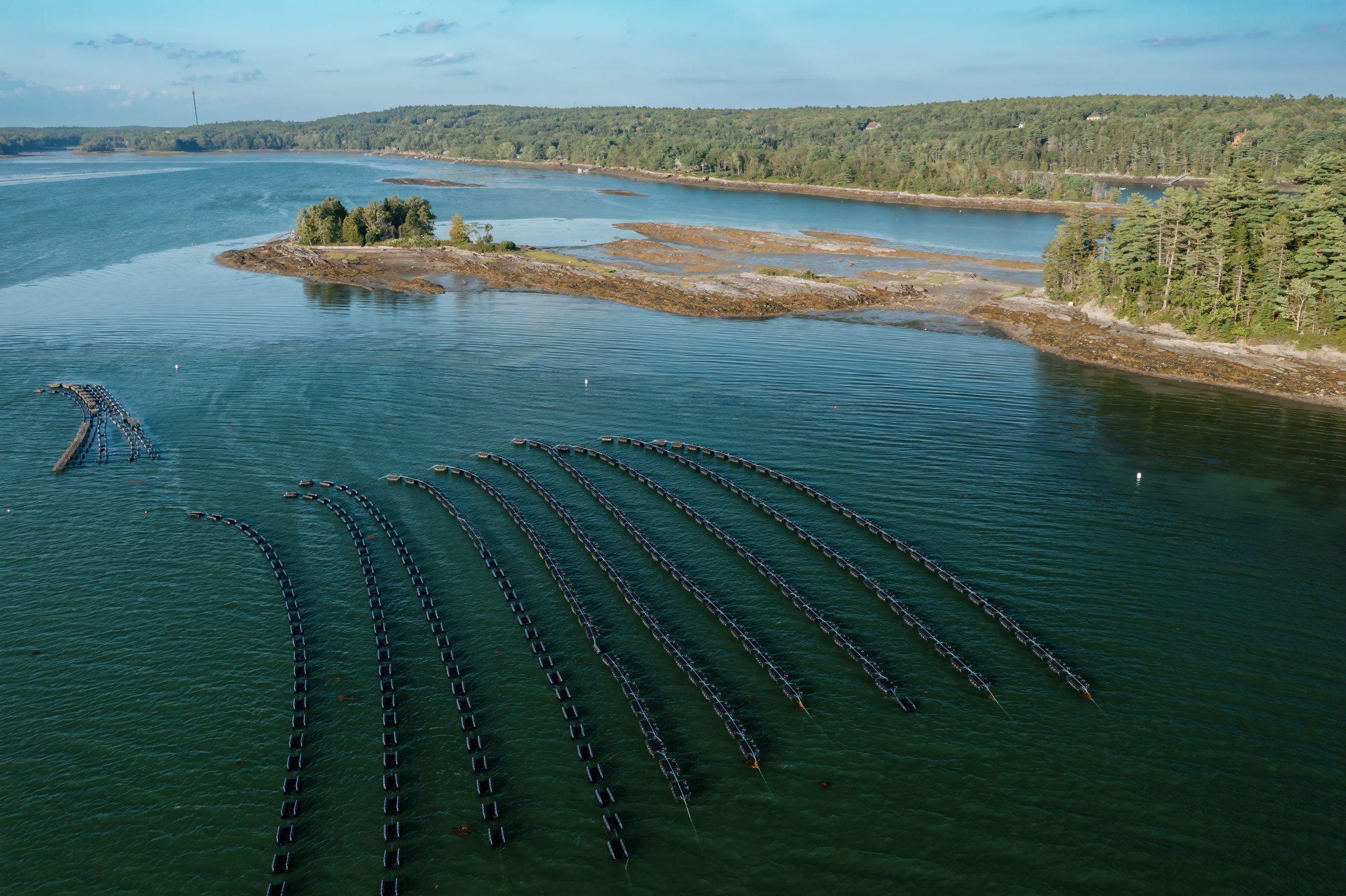 The future of Maine aquaculture