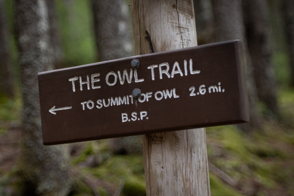 This overlooked Baxter State Park hike offers stunning views of Katahdin