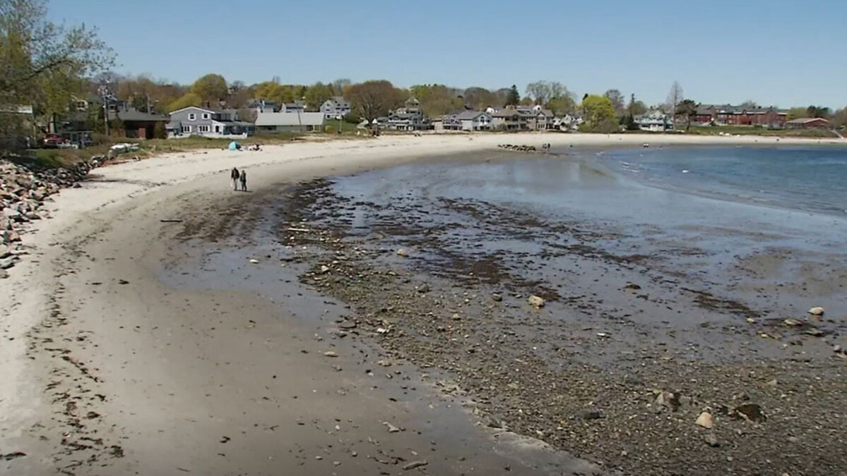 Southern Maine beach closed after fin spotted in the water
