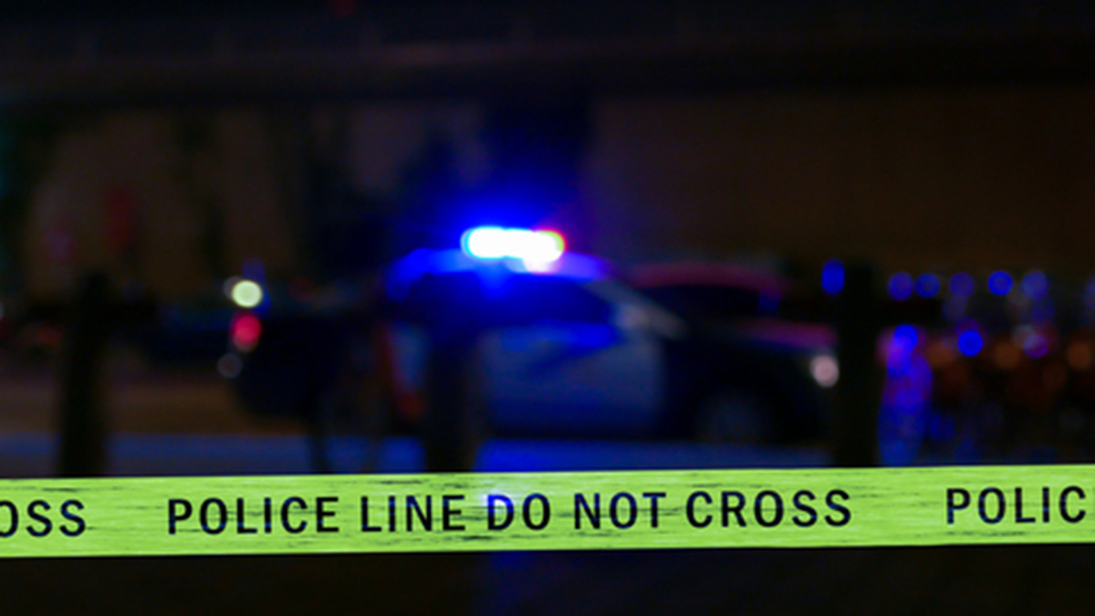 Maine man drowns after falling into Niagara River