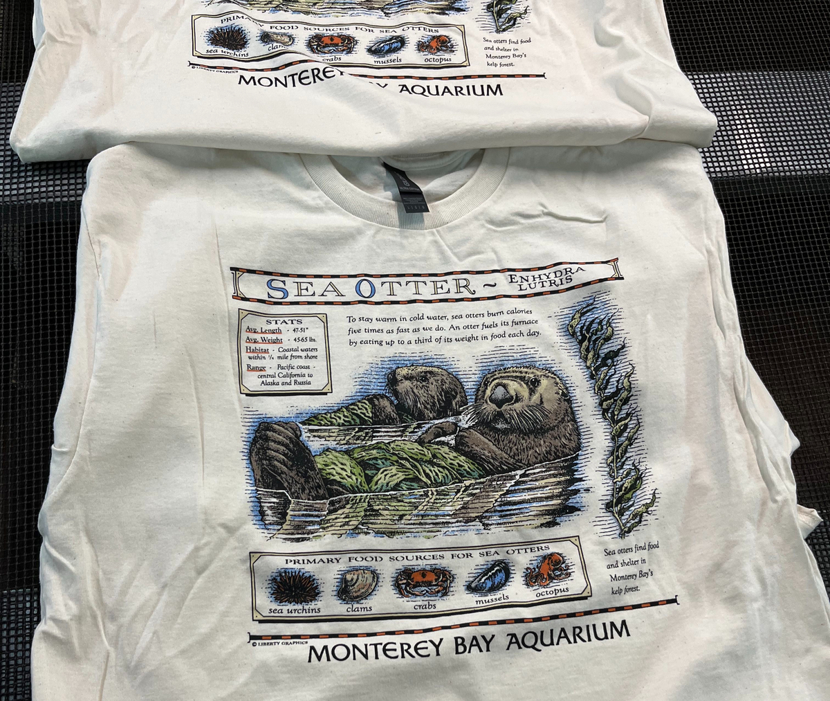 Maine company is rereleasing vintage T-shirt worn by Taylor Swift in ‘Showgirl’ film