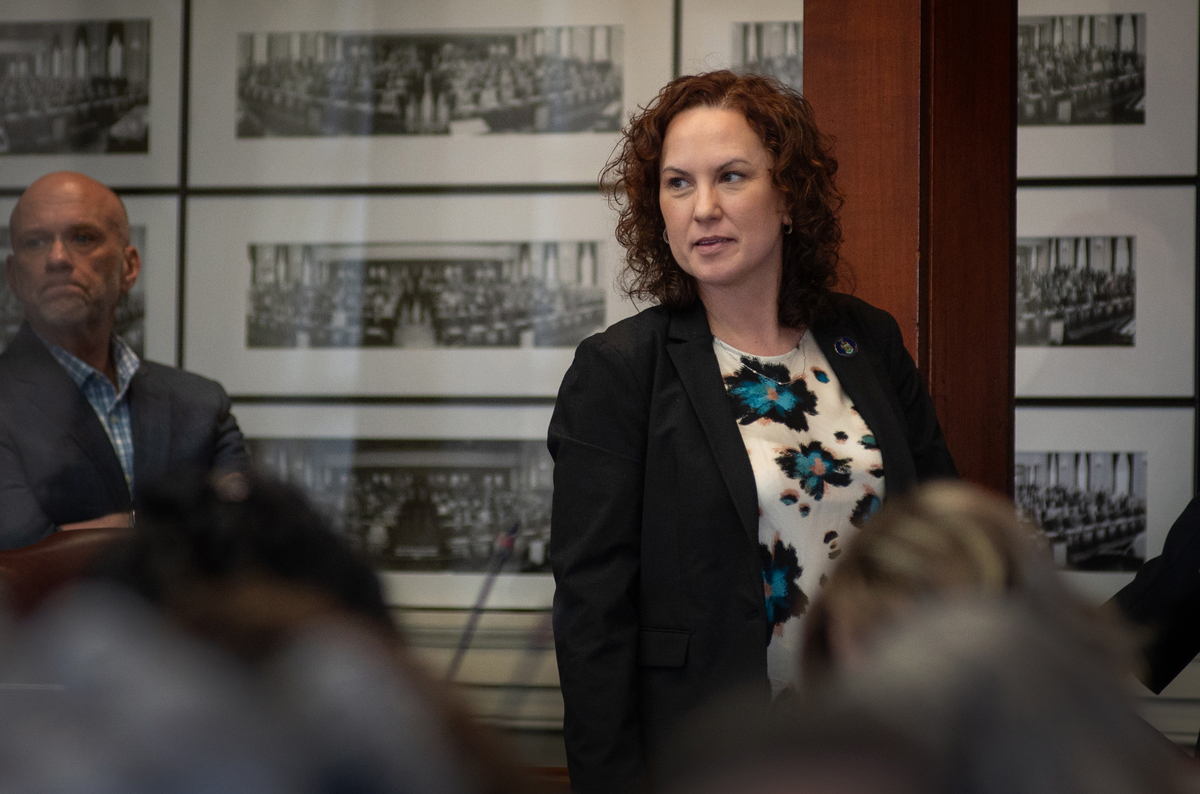 Maine lawmaker files to challenge Chellie Pingree in 2026 Democratic primary