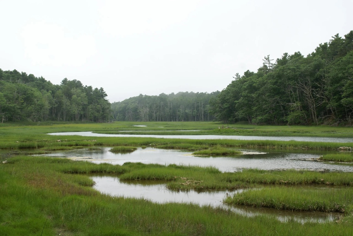 New law will allow for the sale for little-known part of Baxter State Park
