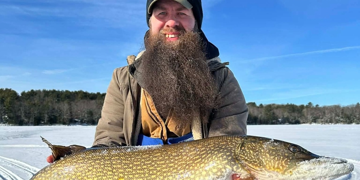 Fake announcement misleads Maine anglers about northern pike regulations
