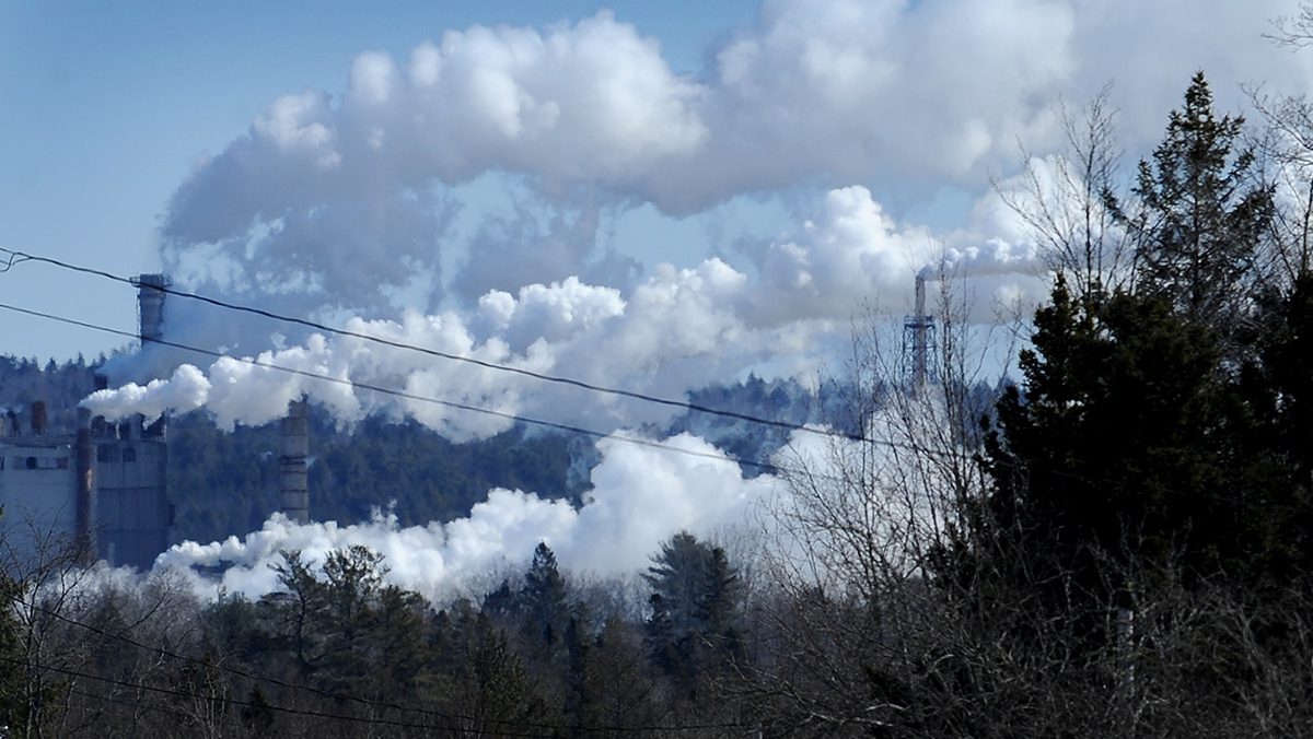 Woodland Pulp restarts after monthlong shutdown