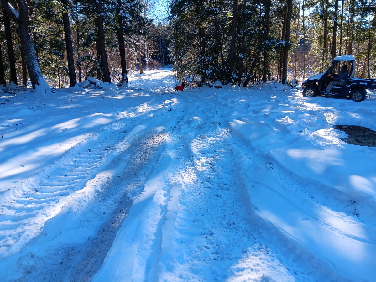 Maine sues Milford property owner for blocking a stream to build a driveway