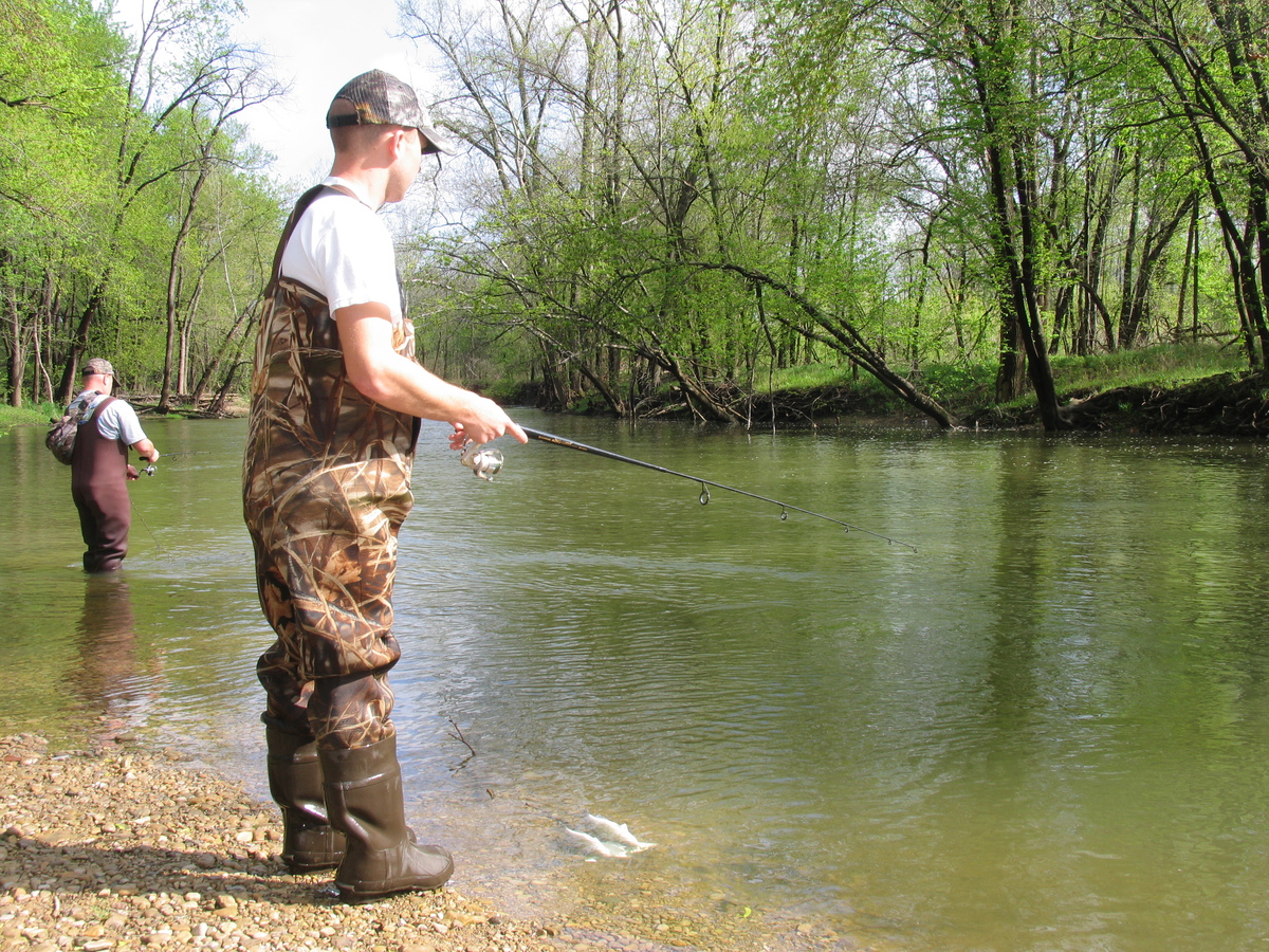 Oregon ballot measure targeting hunting raises questions for Maine  