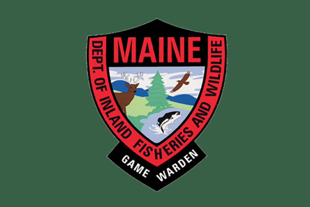 New Hampshire woman killed in Jackman snowmobile crash