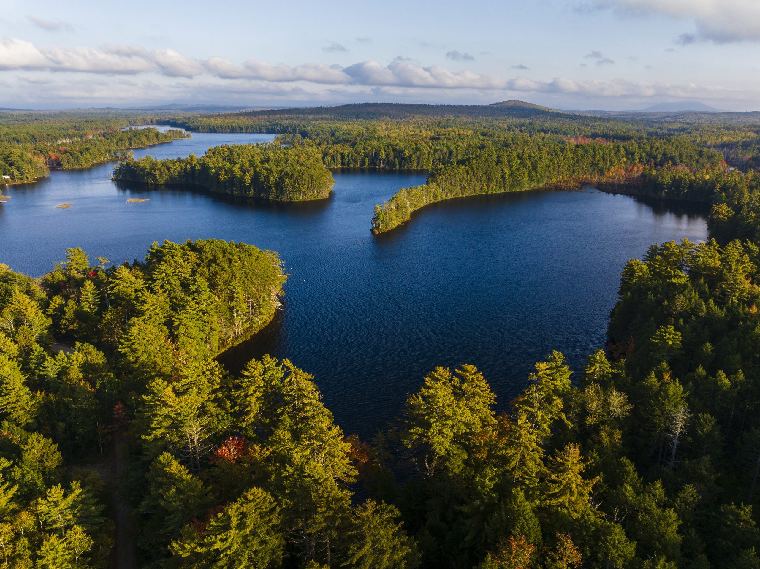 Something for everyone in Maine’s Forests