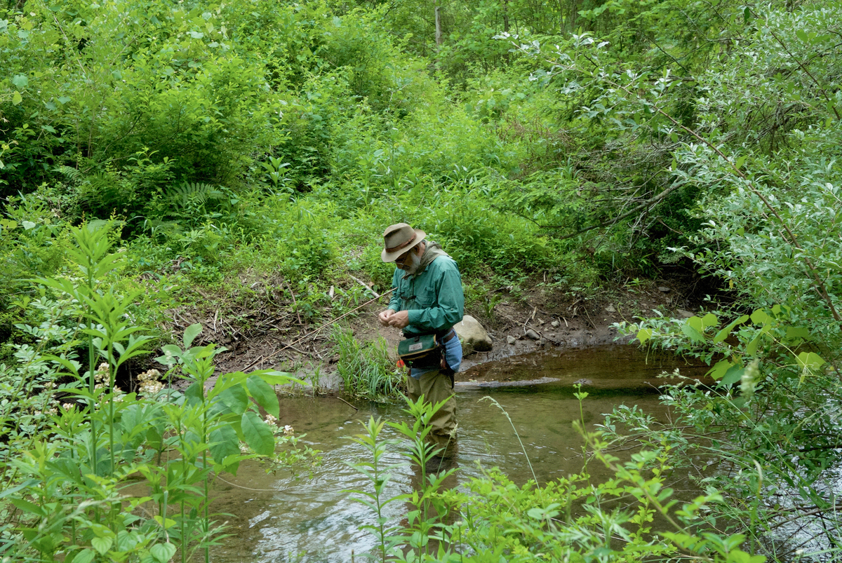 Maine streams are changing right now. Here’s what trout are doing.