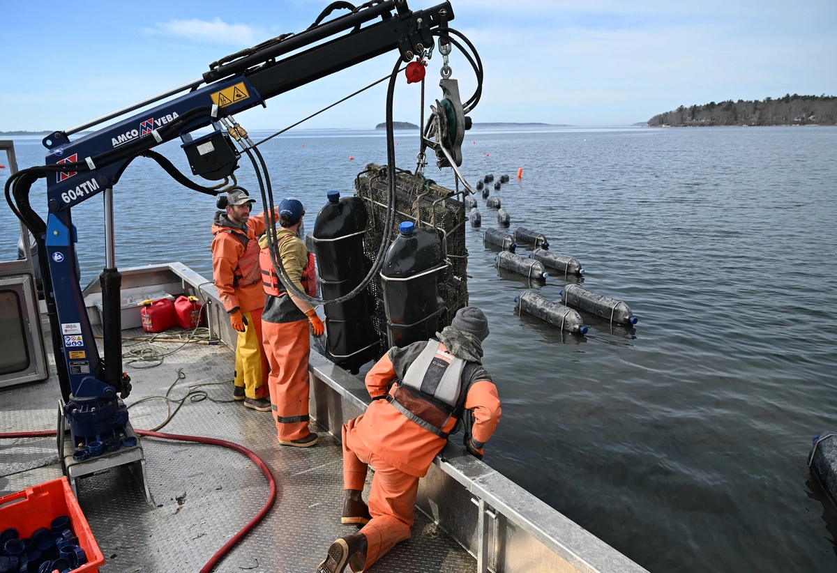On land and at sea, Maine food producers prepare for the season