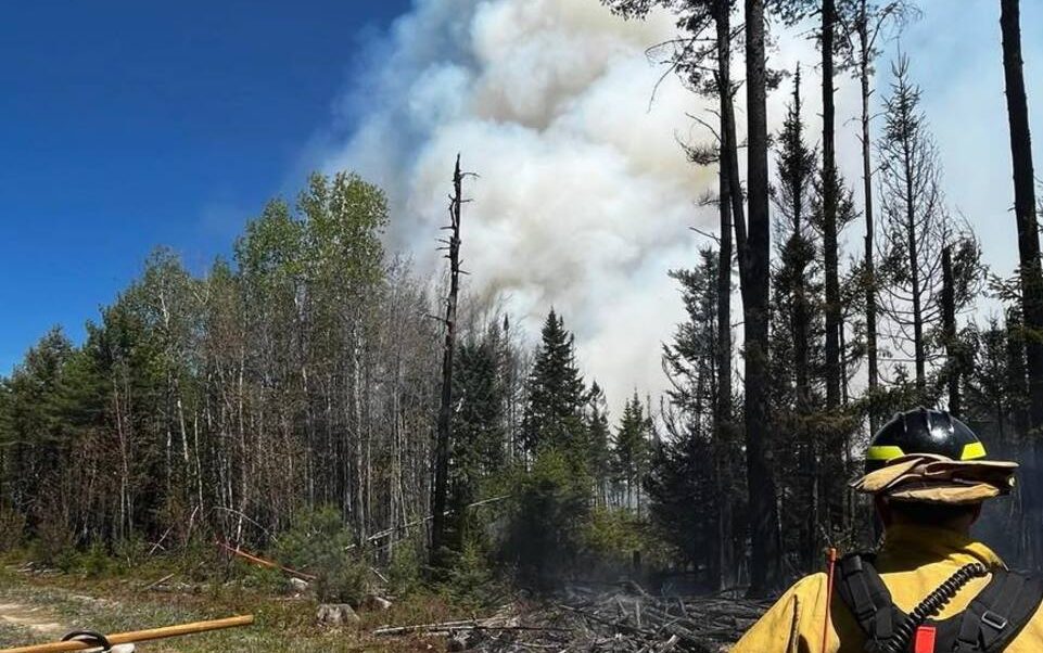 North Woods wildfire has been contained