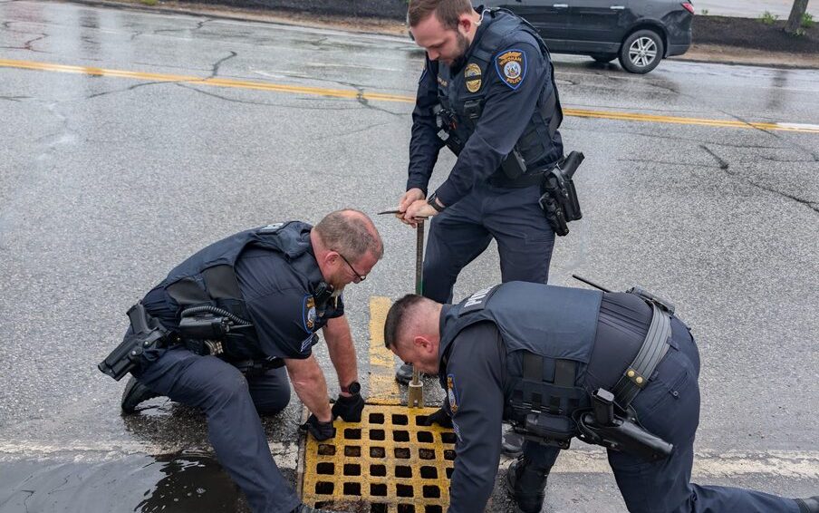 Maine police save ducklings from their archnemesis