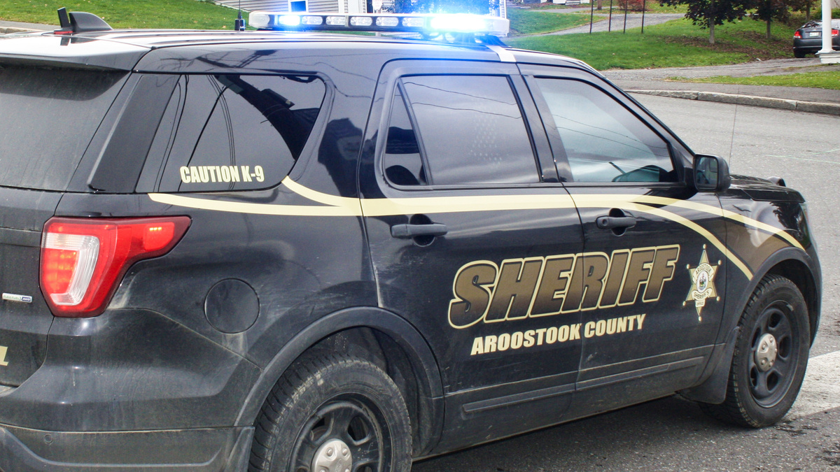 Woodland man arrested after allegedly pointing gun at sheriff's deputy