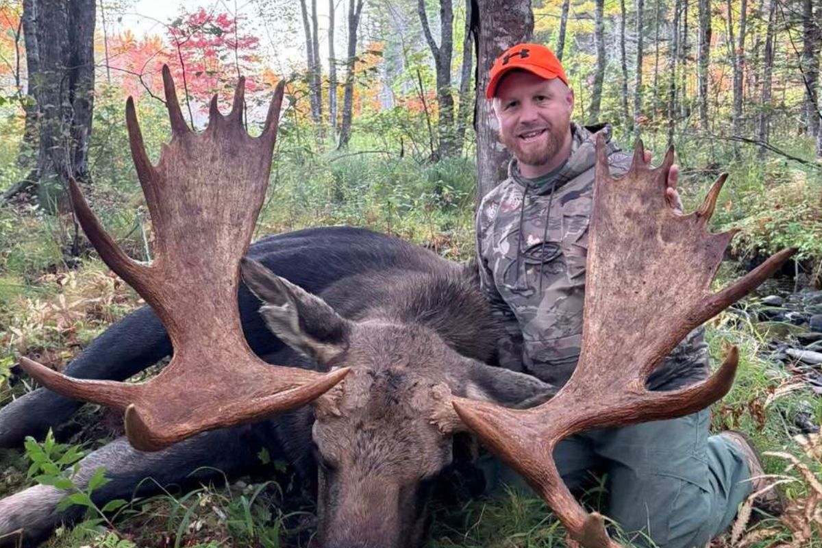 See the results of the 2026 Maine moose lottery  