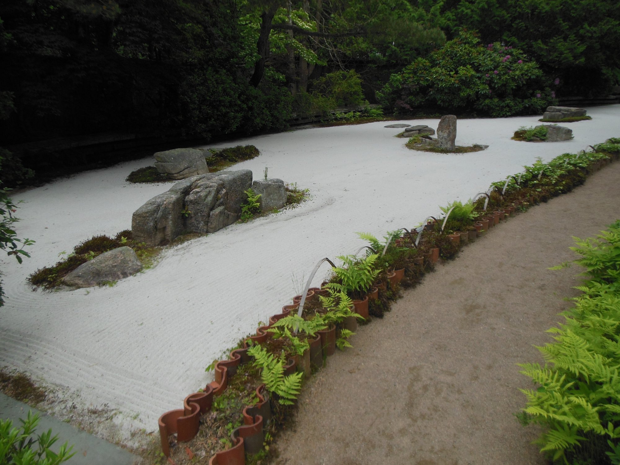 On Mount Desert Island, beautiful gardens bloom