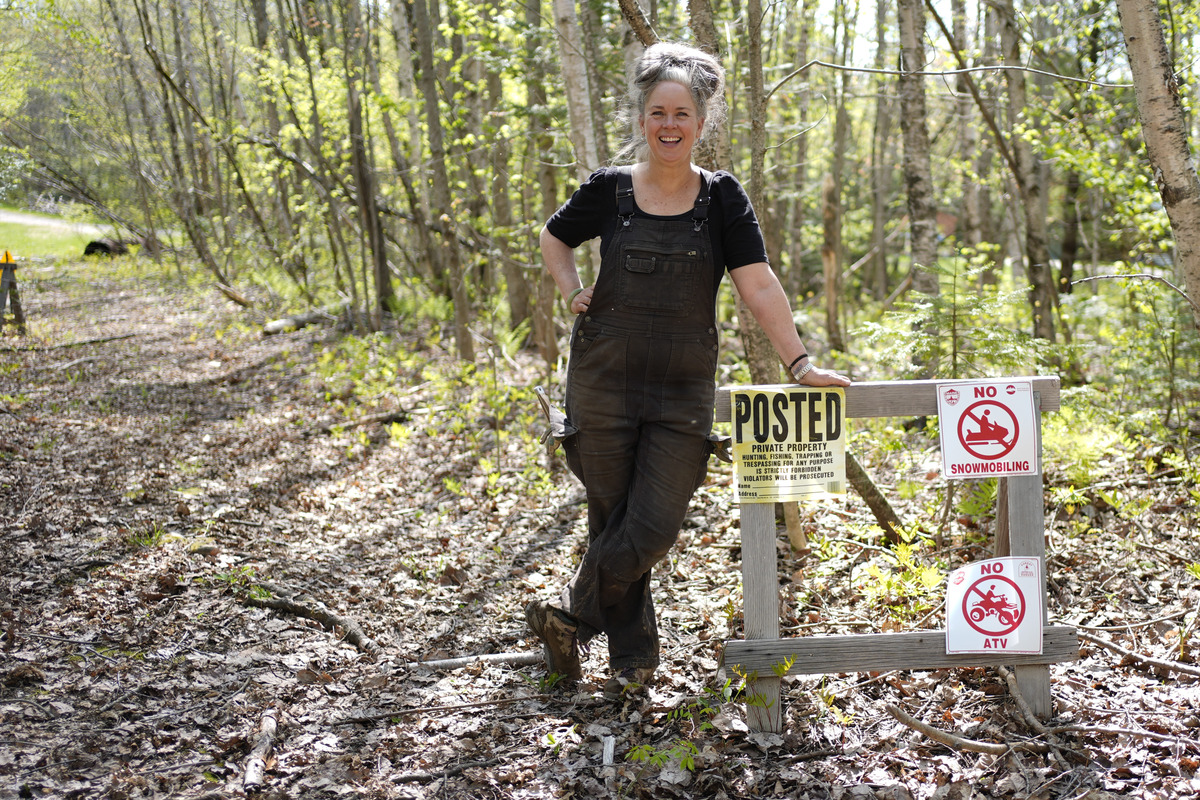 Trees cut as part of ongoing legal dispute over road access in Freedom