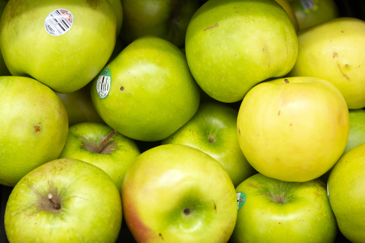 Staff turnover at coastal Maine food co-op leads to wasted crops for farmers