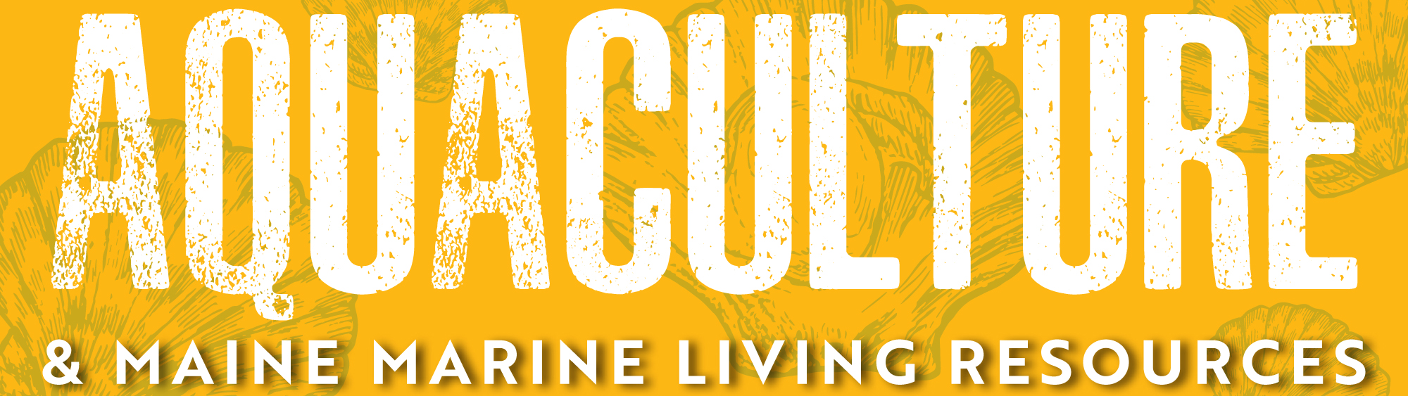 Aquaculture & Maine Marine Living Resources