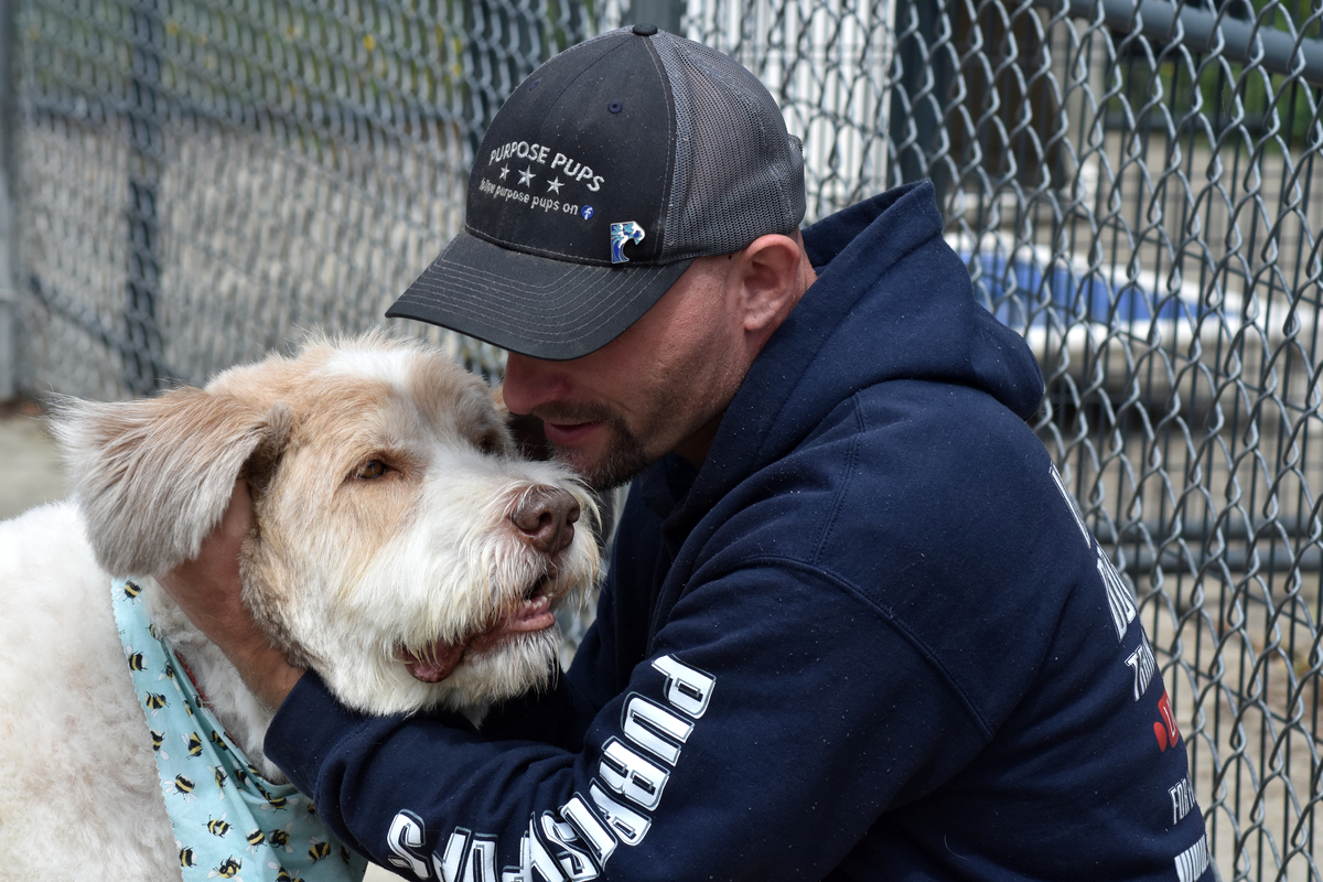 Training program helps Aroostook shelter dogs find – and keep – homes
