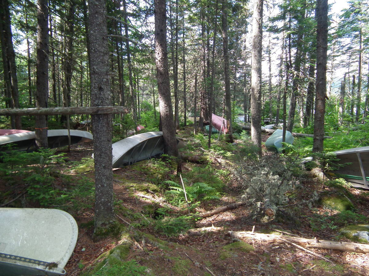 I hadn't fished these Maine ponds in decades. Then I saw all the canoes.