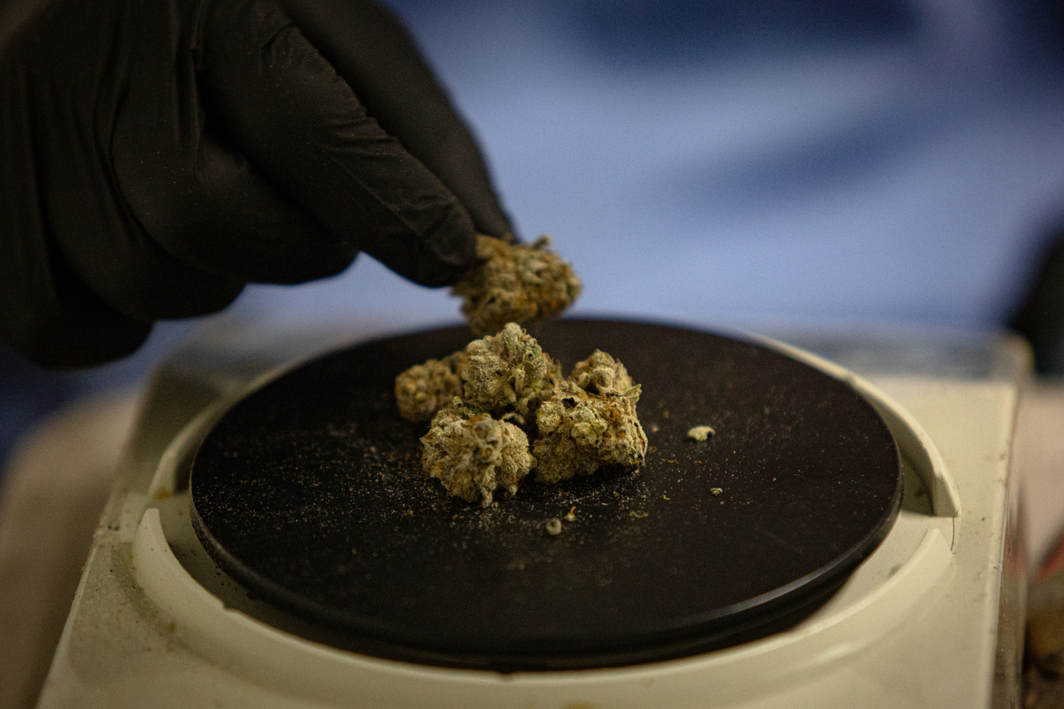 Ellsworth picks 3 adult-use cannabis vendors nearly 2 years after voter approval