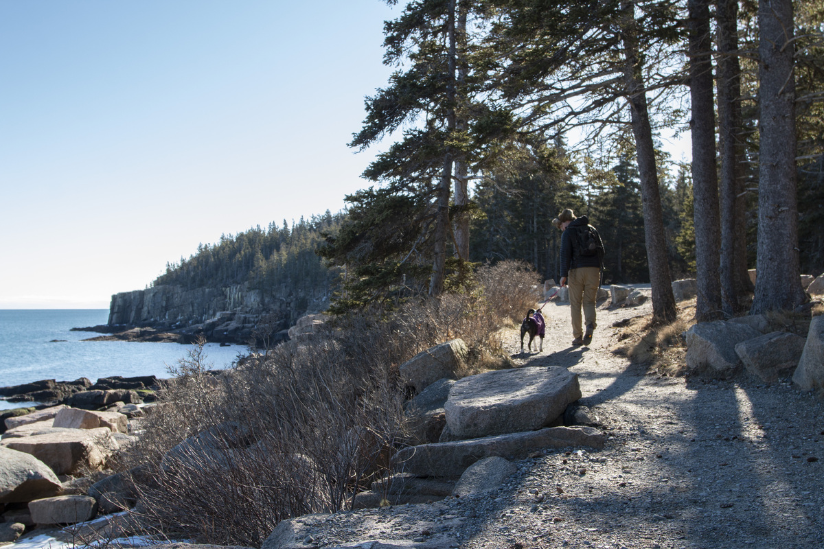 Acadia expanding disability access oceanfront trail
