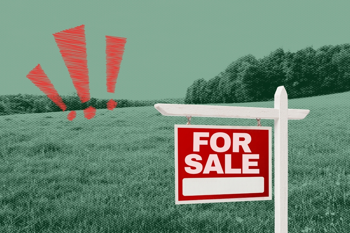 A Maine family bought land on MDI with dreams of building a home. Then a scammer tried to sell it.