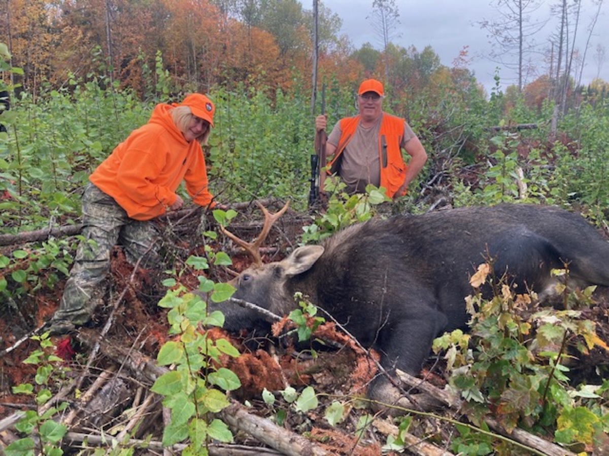 Strangers came to the rescue when this Maine moose wouldn’t budge    